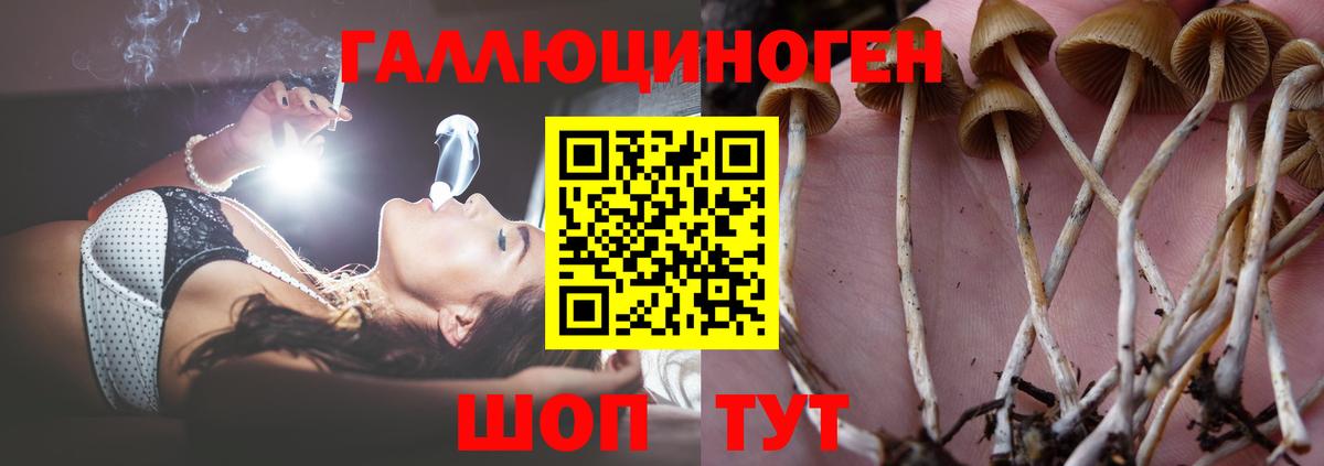 Керчь  Вход с VPN  МЕФ   Конопля  КОКАИН 